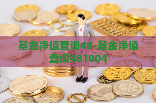 基金净值查询48-基金净值查询481004  第1张