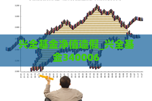 兴全基金净值造假_兴全基金340006  第1张