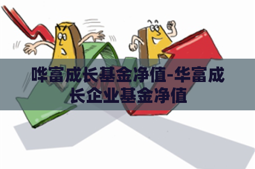 哗富成长基金净值-华富成长企业基金净值