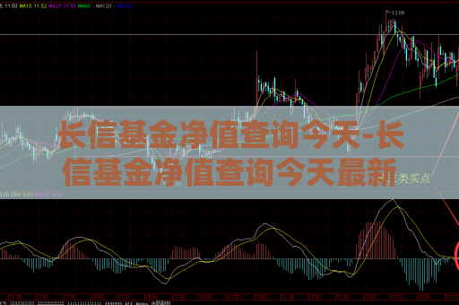 长信基金净值查询今天-长信基金净值查询今天最新  第1张