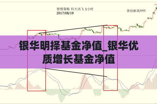 银华明择基金净值_银华优质增长基金净值  第1张