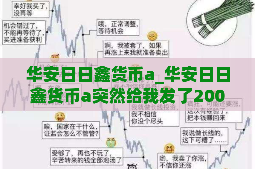 华安日日鑫货币a_华安日日鑫货币a突然给我发了2000