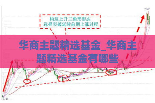 华商主题精选基金_华商主题精选基金有哪些  第1张