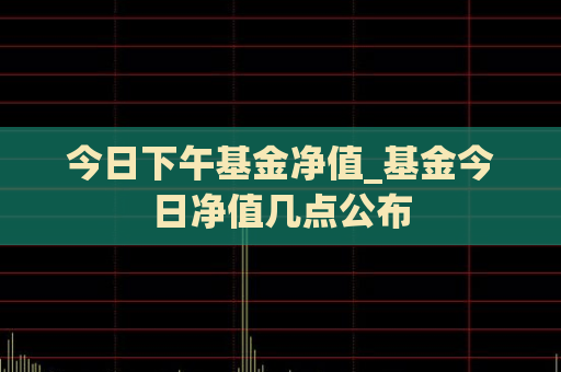 今日下午基金净值_基金今日净值几点公布