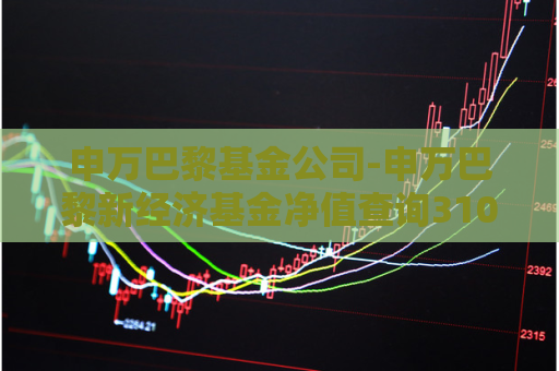 申万巴黎基金公司-申万巴黎新经济基金净值查询310358  第1张