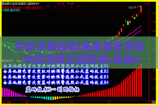 中欧消费股票i基金基金净值-中欧消费主题股票c基金002697