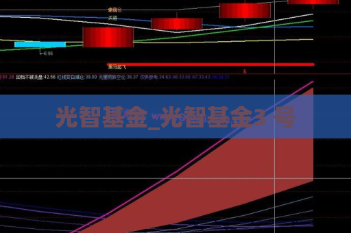 光智基金_光智基金3 号  第1张