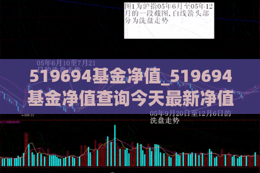 519694基金净值_519694基金净值查询今天最新净值  第1张