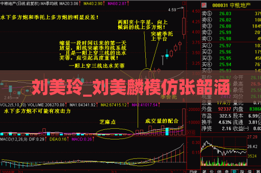 刘美玲_刘美麟模仿张韶涵  第1张