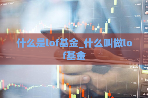 什么是lof基金_什么叫做lof基金  第1张