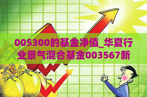 005300的基金净值_华夏行业景气混合基金003567新  第1张