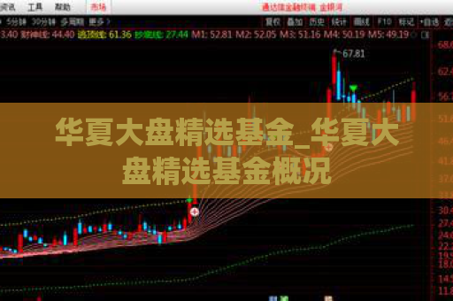 华夏大盘精选基金_华夏大盘精选基金概况  第1张