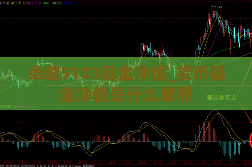 卓越5103基金净值_货币基金净值是什么意思