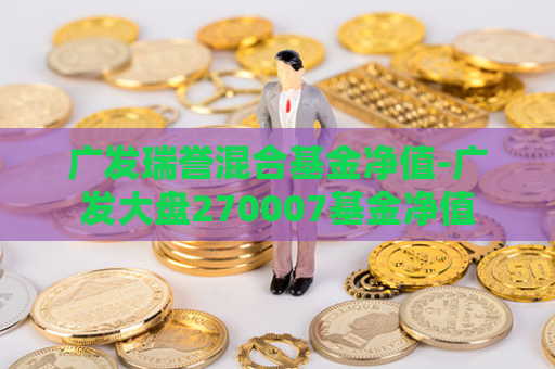 广发瑞誉混合基金净值-广发大盘270007基金净值  第1张