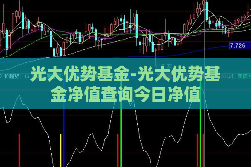 光大优势基金-光大优势基金净值查询今日净值  第1张