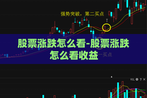 股票涨跌怎么看-股票涨跌怎么看收益  第1张
