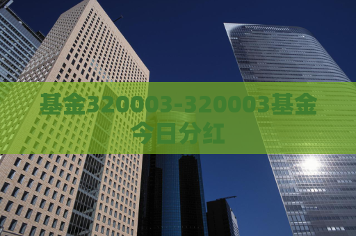 基金320003-320003基金今日分红  第1张