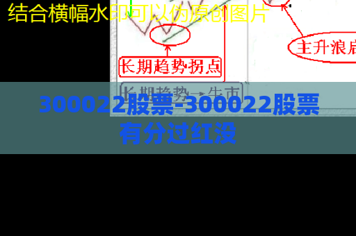 300022股票-300022股票有分过红没  第1张