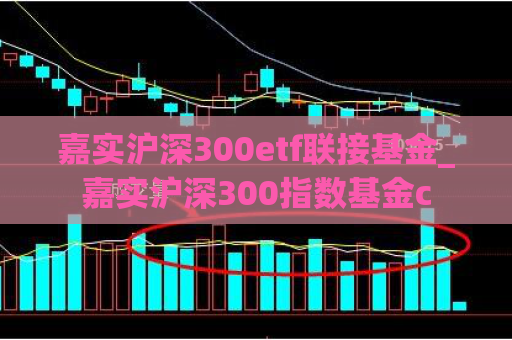 嘉实沪深300etf联接基金_嘉实沪深300指数基金c