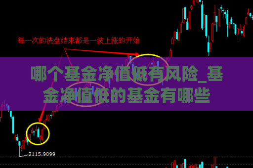 哪个基金净值低有风险_基金净值低的基金有哪些  第1张