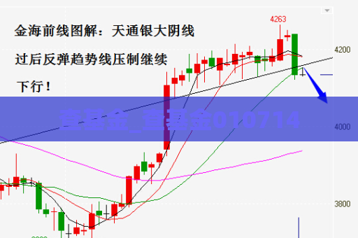 查基金_查基金010714  第1张