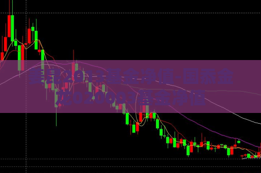 姜昆2013基金净值-国忝金龙020003基金净值  第1张