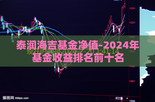 泰润海吉基金净值-2024年基金收益排名前十名  第1张