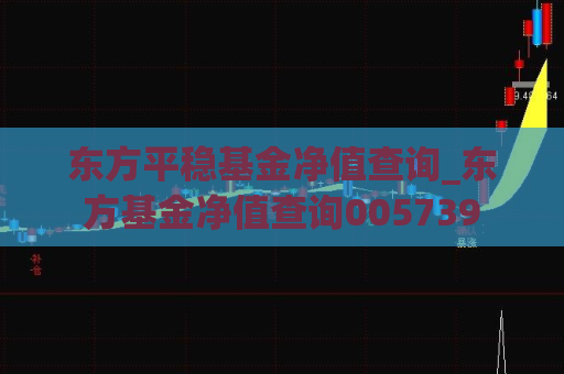 东方平稳基金净值查询_东方基金净值查询005739  第1张