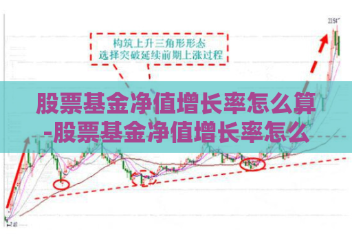 股票基金净值增长率怎么算-股票基金净值增长率怎么算出来的