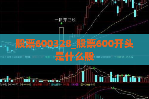 股票600328_股票600开头是什么股