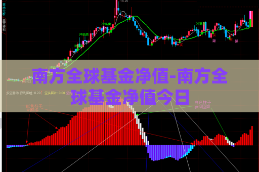 南方全球基金净值-南方全球基金净值今日  第1张