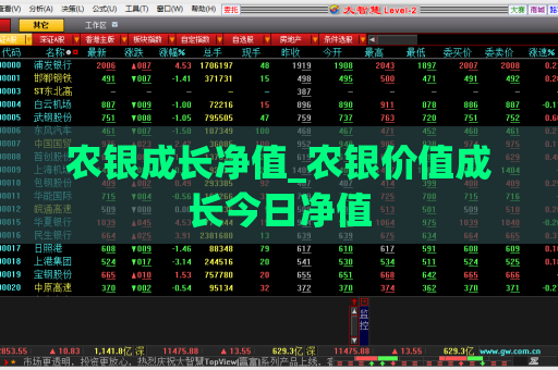 农银成长净值_农银价值成长今日净值  第1张