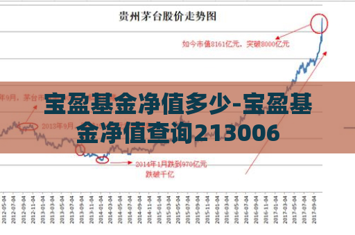 宝盈基金净值多少-宝盈基金净值查询213006  第1张