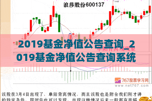 2019基金净值公告查询_2019基金净值公告查询系统  第1张