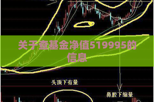 关于查基金净值519995的信息  第1张