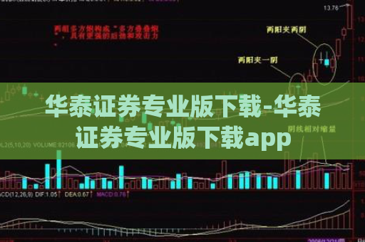 华泰证券专业版下载-华泰证券专业版下载app  第1张