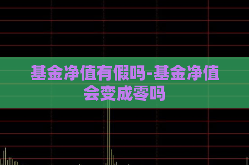 基金净值有假吗-基金净值会变成零吗  第1张