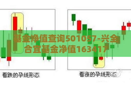 基金净值查询501057-兴全合宜基金净值163417  第1张