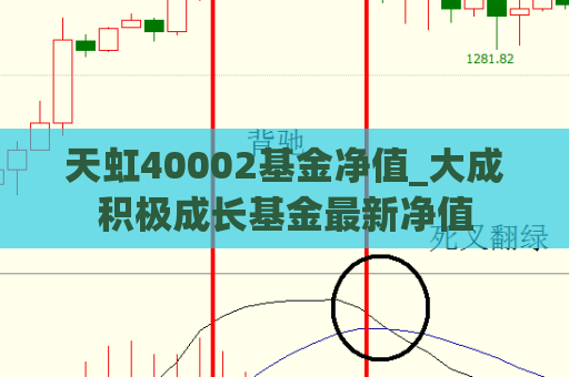 天虹40002基金净值_大成积极成长基金最新净值  第1张