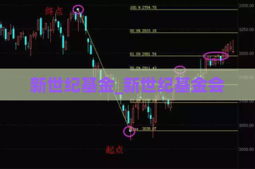 新世纪基金_新世纪基金会  第1张