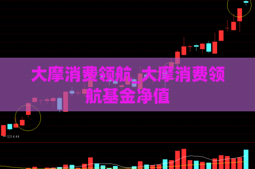 大摩消费领航_大摩消费领航基金净值  第1张