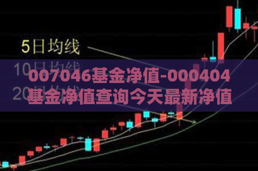 007046基金净值-000404基金净值查询今天最新净值  第1张