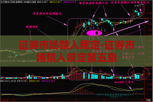 证券市场禁入规定-证券市场禁入规定第五条  第1张