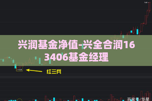 兴润基金净值-兴全合润163406基金经理  第1张