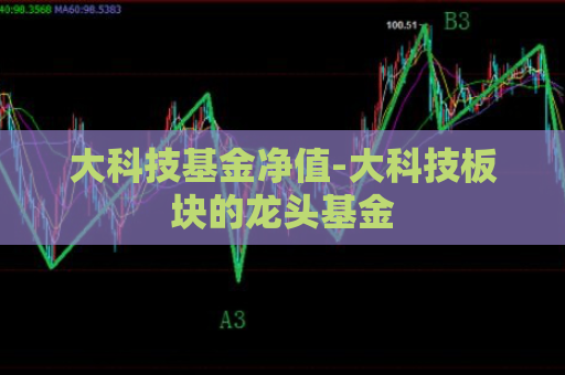 大科技基金净值-大科技板块的龙头基金  第1张