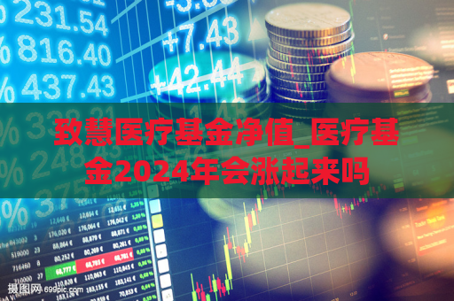 致慧医疗基金净值_医疗基金2024年会涨起来吗  第1张