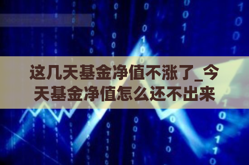 这几天基金净值不涨了_今天基金净值怎么还不出来  第1张