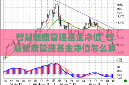 智慧健康管理基金净值_智慧健康管理基金净值怎么算