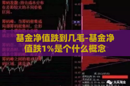 基金净值跌到几毛-基金净值跌1%是个什么概念  第1张