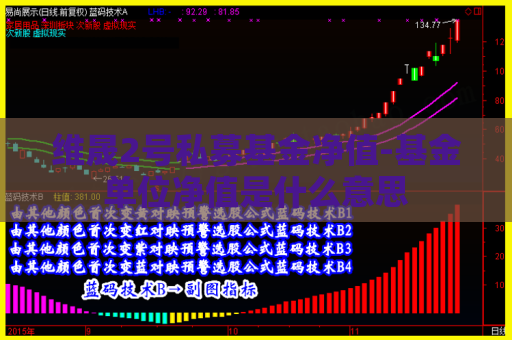 维晟2号私募基金净值-基金单位净值是什么意思